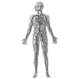 improve circulation