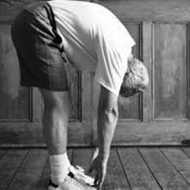range of motion, joint flexibility
